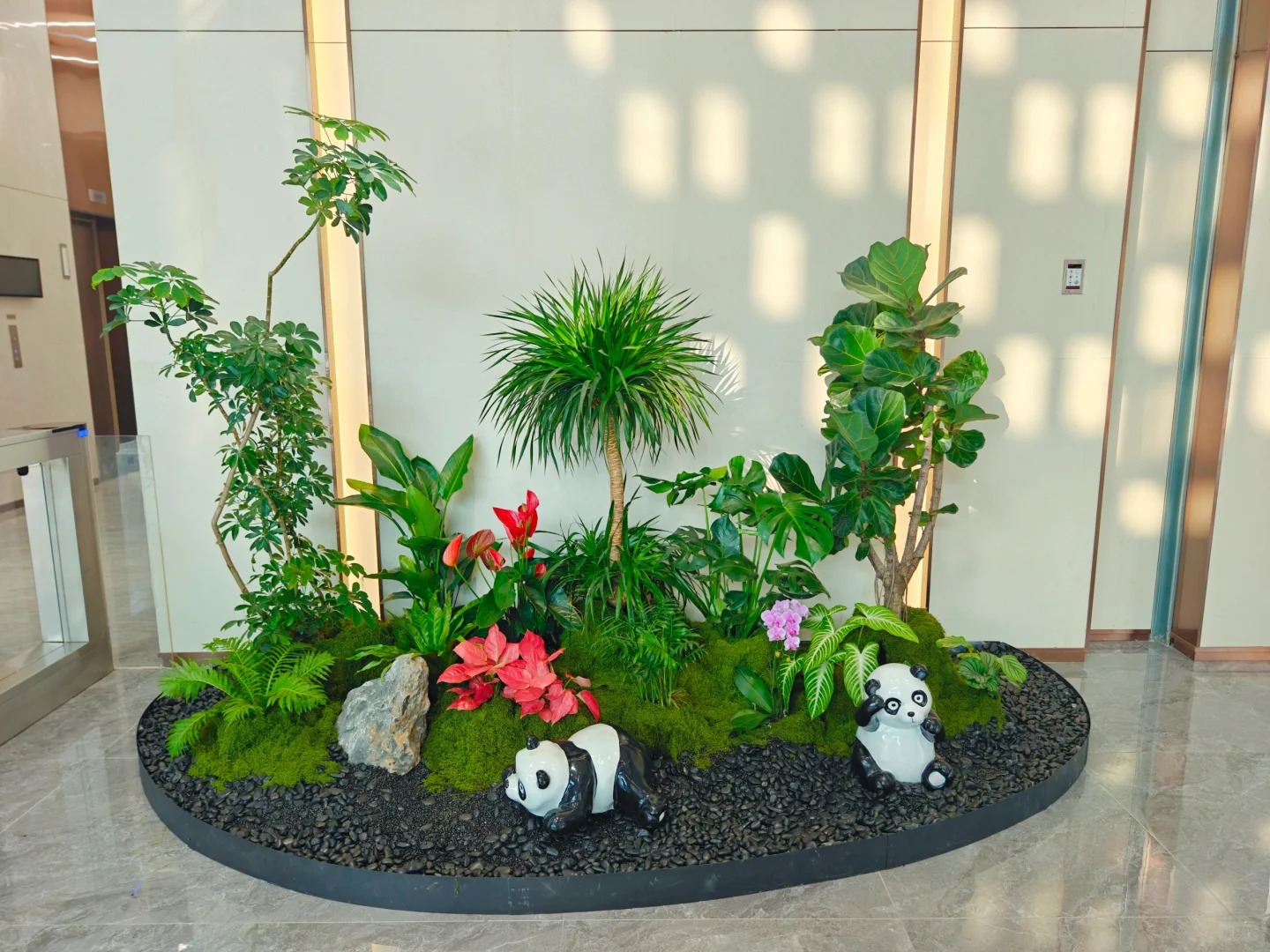 了解宁波盆景租赁方案，让空间绿意盎然